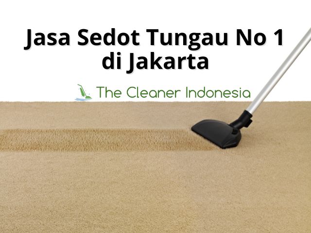 Jasa Sedot Tungau No 1 di Jakarta